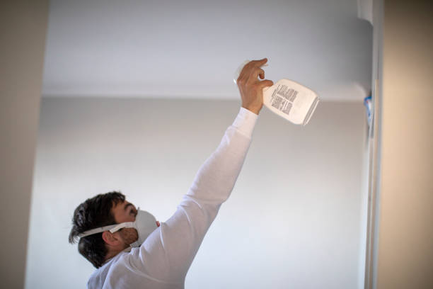 Mold Removal Process in Perryville, MD