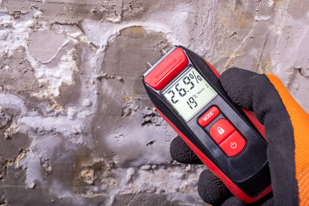 Best Mold Inspection  in Perryville, MD