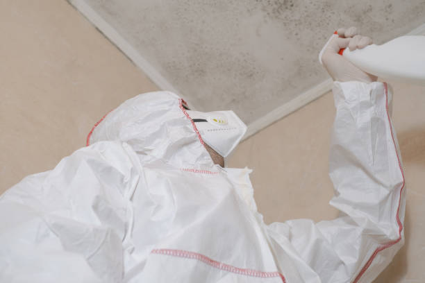 Crawl Space Mold Removal in Perryville, MD